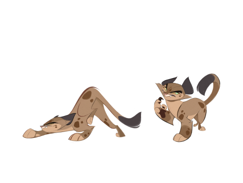 Designed Some Characters That Appear In Rues StoryA Great Big Family Of Mountain Lions !