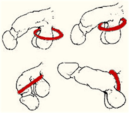 Measuring a Cock Ring...