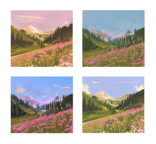 10231224y - 10 min scenery and color studies