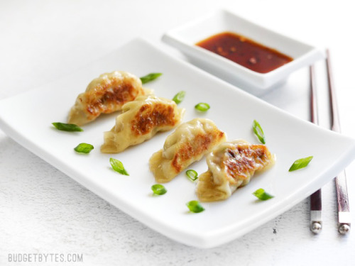 foodffs: PORK GYOZA (POTSTICKERS) Really porn pictures