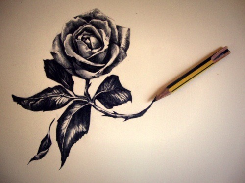 Rose art