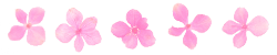 h-says:  ✿♡ pretty pink transparent flowers ♡✿