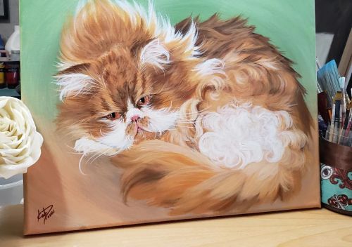 I got to do a pet portrait of the fluffier cat! Look at all those swirls and curls. A very sweet wom