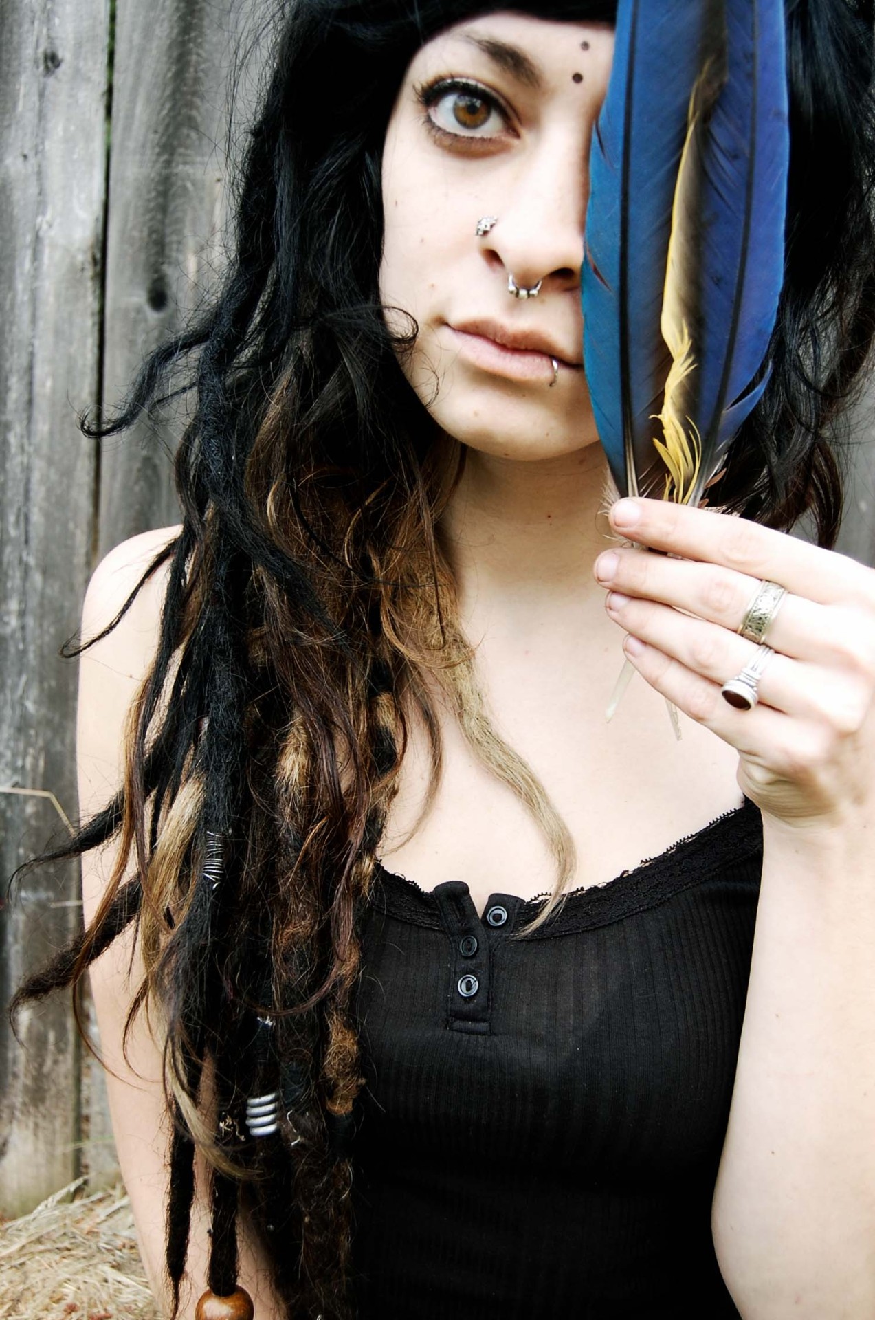 wolftea:  Some of my favorite feathers, and my emotionless face  