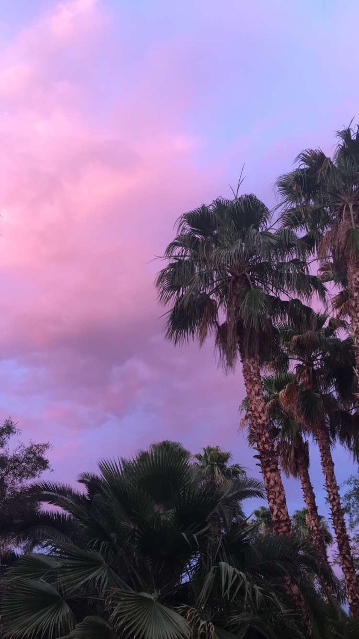 unpluggedhalo:  sunsets and @janicexxx