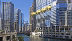 99percentinvisible:Architect wants to install giant pig balloons to block Trump Tower Chicago sign