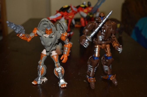 Yet more images of generations Rattrap. And a work in progress custom of Dinobot out of Springer.