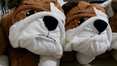 shuushoku:  Ikea sells bulldog plushes. I named them Max. All of them.