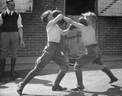 tetrismusic:  Hitler-Jugend boxing 