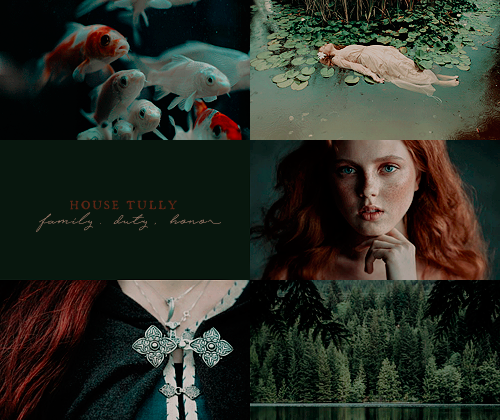 sorrybaaae: GREAT HOUSES OF WESTEROS If you like my work, please, consider supporting me as I need t