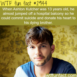 wtf-fun-factss:  13 years old Ashton Kutcher