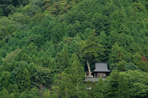 Mountain ShrineBy : Eric