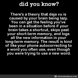 did-you-kno:  There’s a theory that deja vu is  caused by your brain being lazy.  You can get the feeling you’ve  been in a situation before if your  brain takes a shortcut, skips past  your short-term memory, and logs  all the new information in