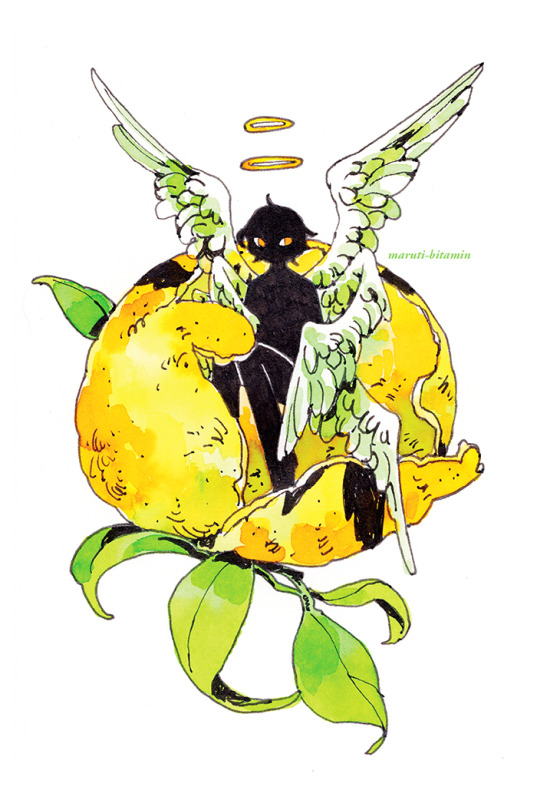 Yuzu 4