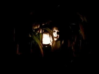 Sopor Aeternus gifs