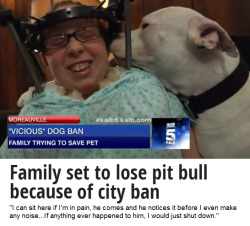 fuxit:  thedarklingprincess:  hipsterlibertarian:  If you would feel ok taking a dog away from a young girl who is confined to a wheel chair, fining her family if they objected, and then killing the dog, there may be a place for you in city government