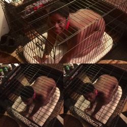 thedoghouse09:  Cutie in a cage. @iamapaperuniverse