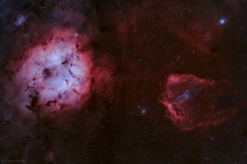 Elephant, Bat, and Squid : Sprawling emission nebulae IC 1396 and Sh2-129 mix glowing interstellar g