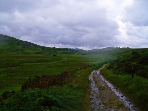 for-the-love-of-ireland: Paths on the long distance walk “Kerry Way”, Ireland © by 