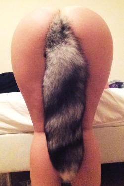 sunshineandbjs:  LOOK HOW LONG AND FLUFFY