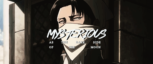 paperskin-writtenon - memes? memes.