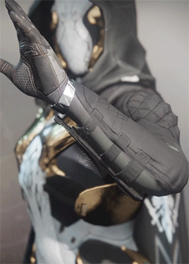chyronsmaiden:  My Hunter // Level 50 // ✦514