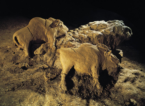 14,000 year old bison sculptures, Le Tuc d’Audoubert cave, Ariege, France, circa 2016.