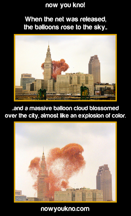 queen-siobhan:nowyoukno:Now You Know why you should never release 1.5 million balloons at once. (Sou