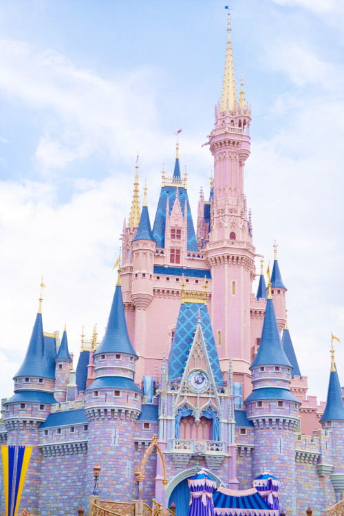 succubxbe: The Disney Castle is so beautiful! New Florida blogpost ♡