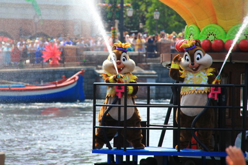 Chip ‘n’ Dale on  Minnie’s Tropical Splash