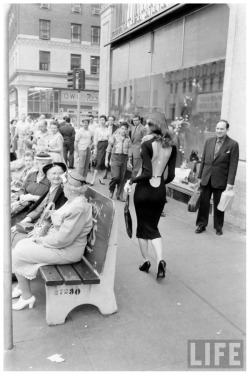 willigula:  Vikki Dougan (said to be one of the inspirations for Jessica Rabbit) on Hollywood &amp; Vine by Ralph Crane, 1957