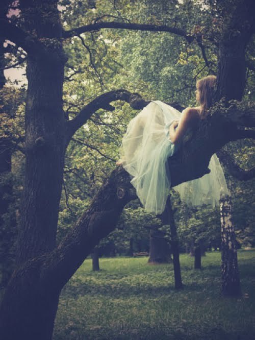 I love being amongst the trees. Ever since I was very little. Such magical places, these majestic creatures of nature.