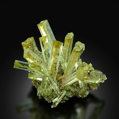 Selenite with Atacamite, Paratacamite &amp; Herbertsmithite- Lubin Mine, Lubin District, Lower Siles