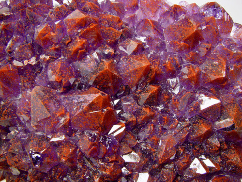 Thunder Bay Amethyst - Diamond Willow Mine, Thunder Bay District, Ontario, Canada