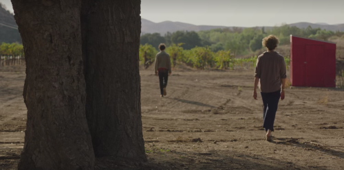 bons-moments-au-cinema:20th Century Women (2016) dir. Mike Mills