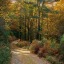 later-seasons