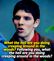 Dragonlord More Like Sasslord