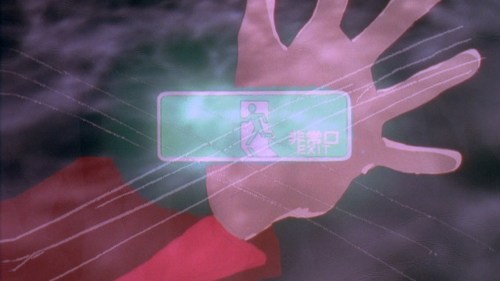 qmisato:Misato’s slap geared back, and an exit sign flashing in interval. I mustn’t run away. What a