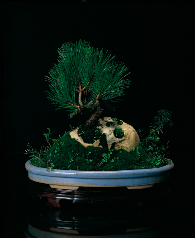 myampgoesto11:  Sculptures by Dong Wensheng 董文胜 My Amp Goes To 11: Twitter | Instagram