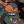 ocean-again:scarf-it-box:lux-in-the-night:This what not what i was expected from