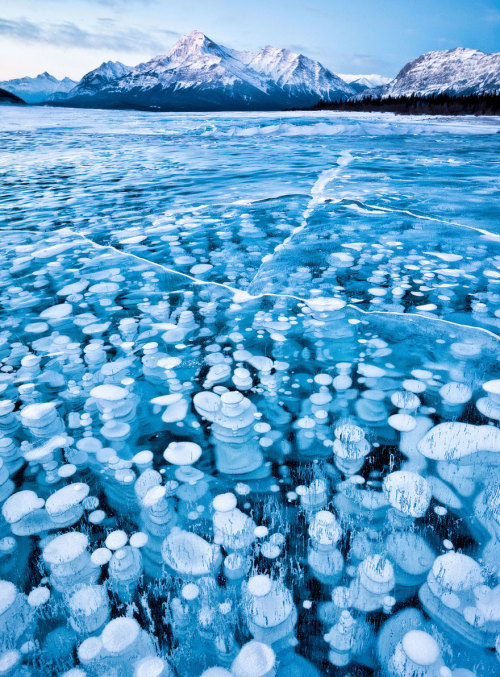 asylum-art:  Breathtaking Frozen Lakes, Oceans And Ponds, That Look Like Art  Lakes and ponds might look nice, but the cold of winter just elevates them to another dimension.  Freezing water creates an astonishing variety of patterns: from jagged lines