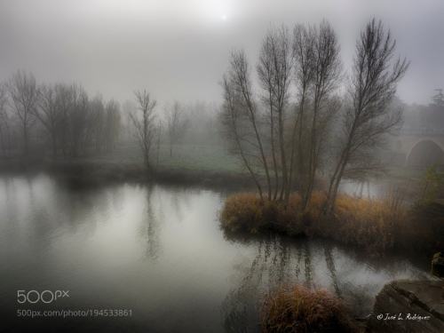 Dia de niebla by DeMadriz