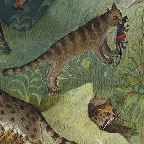 wild catsGaston Phébus, Livre de la chasse, Paris 15th centuryBnF, Français 616, fol. 36r