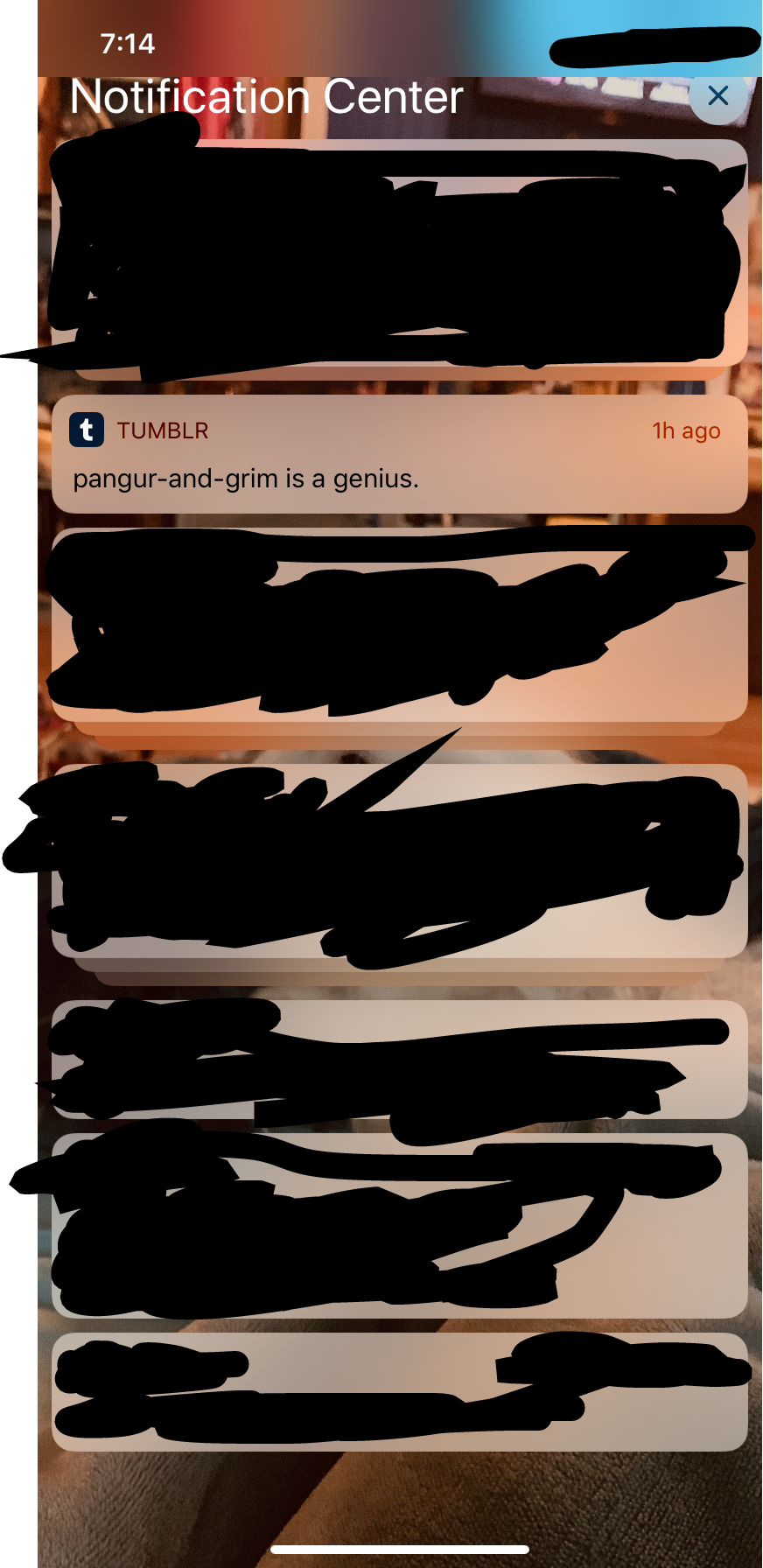 Tumblr media