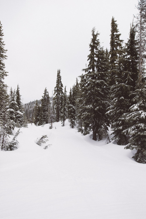 Mt. Bachelor 