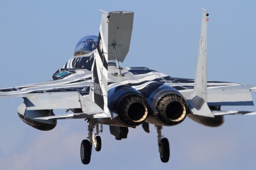 rocketumbl:  F-15DJ 