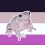 ouigrenouille
