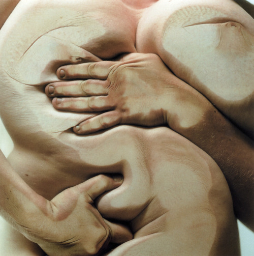 complexae:  Jenny Saville & Glen Luchford 