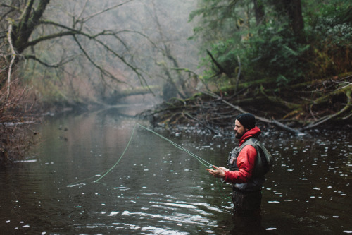 benchandcompass:  and like that, it’s gone. 