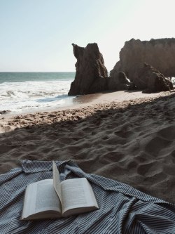 jaegerdog:  Beach book club…